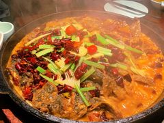 -老板恋上鱼(高新万达店)