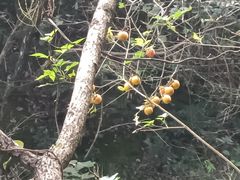 -小格里自然风景区