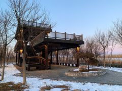 -天津东丽湖风景区