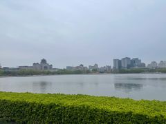 -莲花池公园
