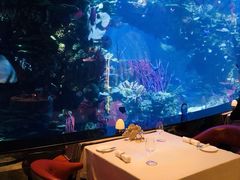 -迪拜帆船酒店海底餐厅