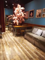 -星豆豆儿童摄影(南郊太白南路店)