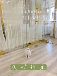 点击看大图 -月野兔日式美睫美甲