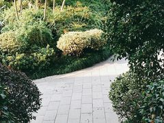 -杭州半山国家森林公园