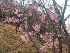 -小南山公园