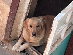 -北京市海淀外国语实验学校