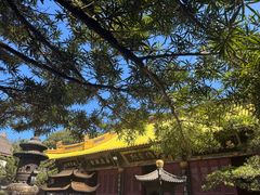 -普陀山慧济禅寺