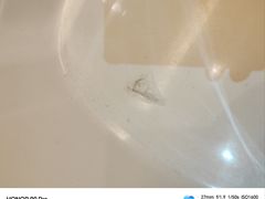 -张家界青和锦江国际酒店