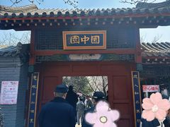 -桃花堤公园