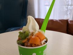 -Salud撒露欧洲冻酸奶(798艺术区店)