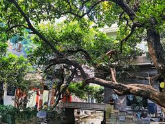 -小洲村