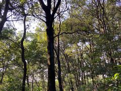 -广州市白云山风景名胜区