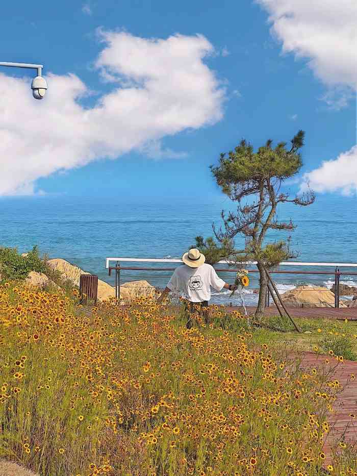 鱼鸣嘴村-"交通:便捷,具体地点在西环岛路那边推荐."-大众点评移动版