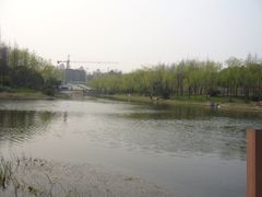 -新江湾城公园