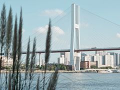 -董家渡渡口售票处