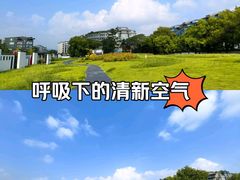 -吴山景区