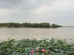 -焦岗湖旅游度假区