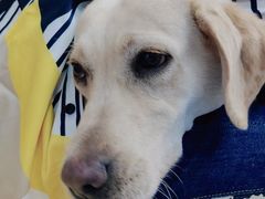 -宠颐生猫科·内科皮肤科(西平世纪城店)