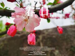 -宁波九龙湖开元度假村