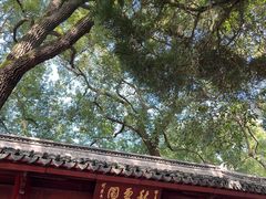 -秋霞圃
