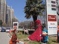 -延长壳牌加油站(长安南路电视塔站)