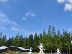 -东平国家森林公园