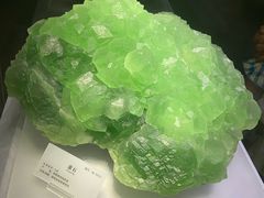 -湖南省地质博物馆