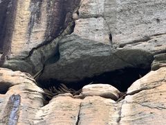 -九曲溪竹筏码头