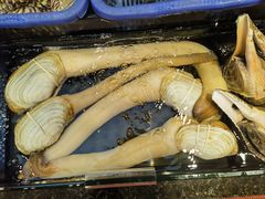 -吴记富苑(朝阳店)