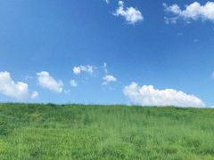 -靖西鹅泉风景区