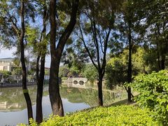 -顺峰山公园