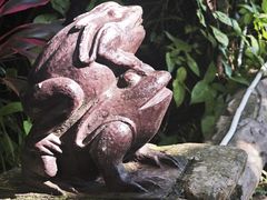 -呀诺达热带雨林