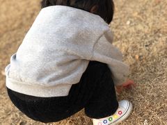 -南翔镇银翔湖公园