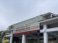 -西双版纳原始森林公园