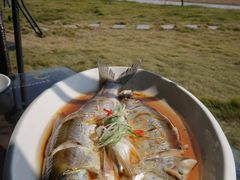 -七的湖·晚芳亭·阳澄湖农家菜·大闸蟹(莲花岛店)