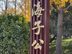-西海子公园