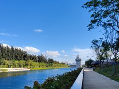 -深圳湾公园(南山区)