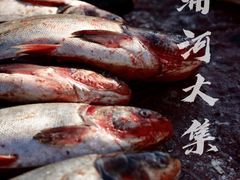 -蒲河大集
