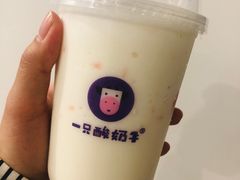 -一只酸奶牛(八一路店)