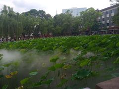 -四川大学(望江校区)