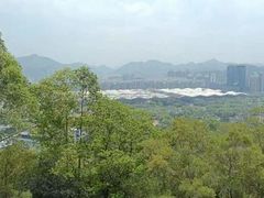 -紫马岭公园