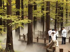 -国家植物园南园