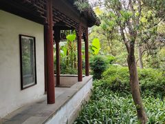 -秋霞圃