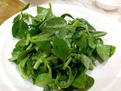 -金春禧(英雄山路旗舰店)