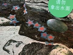 -沈阳海洋探索中心