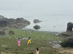 -黑石礁公园