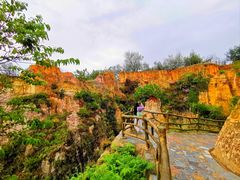 -彩色沙林风景区