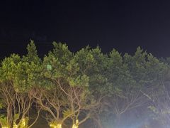 -乐在集市海鲜大排档(平潭店)