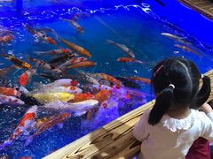 负一楼-天虹购物中心(石路店)