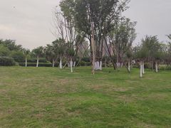 -府河摄影公园